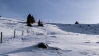 Winterliche Grimmialp