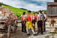 Alpabzug Urnäsch / Appenzell
